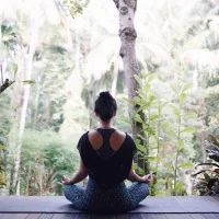 Stress Controlled by Leptin Stress Controlled by Leptin