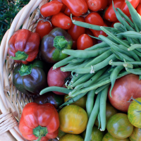 Antioxidants Antioxidants