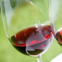 Resveratrol Resveratrol