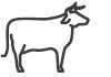 Grass Fed Pasture Raised Whey Protein