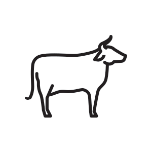Grass Fed Pasture Raised Whey Protein