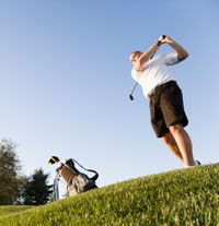 Fish Oil, Obesity, Insulin Resistance, and Fatty Liver